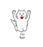 CC cat（個別スタンプ：5）