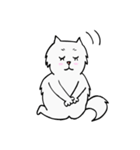 CC cat（個別スタンプ：10）