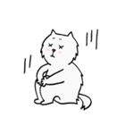 CC cat（個別スタンプ：12）