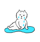 CC cat（個別スタンプ：14）