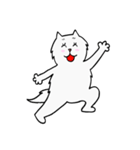 CC cat（個別スタンプ：17）