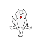 CC cat（個別スタンプ：24）
