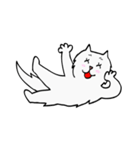 CC cat（個別スタンプ：36）
