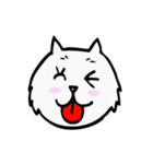CC cat (face)（個別スタンプ：1）