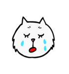 CC cat (face)（個別スタンプ：17）