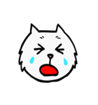 CC cat (face)（個別スタンプ：30）