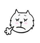 CC cat (face)（個別スタンプ：33）