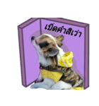 Toto ( a little dog )（個別スタンプ：4）