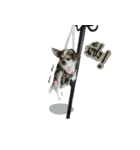 Toto ( a little dog )（個別スタンプ：6）