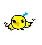 chick yellow（個別スタンプ：6）