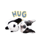 Frankie is frenchie（個別スタンプ：32）