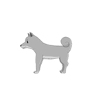 shiba with me（個別スタンプ：1）