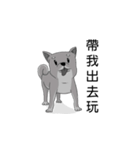 shiba with me（個別スタンプ：4）