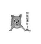 shiba with me（個別スタンプ：5）
