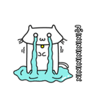 しろねこ しろたん（個別スタンプ：12）