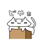 しろねこ しろたん（個別スタンプ：20）