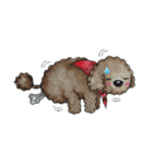 Pungkang and Dolla Happy Poodle Dogs（個別スタンプ：1）