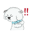 Pungkang and Dolla Happy Poodle Dogs（個別スタンプ：11）