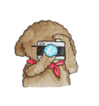 Pungkang and Dolla Happy Poodle Dogs（個別スタンプ：12）