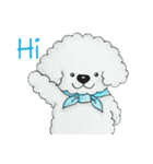 Pungkang and Dolla Happy Poodle Dogs（個別スタンプ：13）