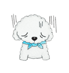 Pungkang and Dolla Happy Poodle Dogs（個別スタンプ：19）