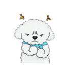 Pungkang and Dolla Happy Poodle Dogs（個別スタンプ：22）