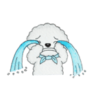 Pungkang and Dolla Happy Poodle Dogs（個別スタンプ：24）
