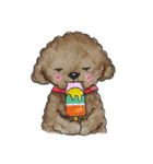 Pungkang and Dolla Happy Poodle Dogs（個別スタンプ：33）