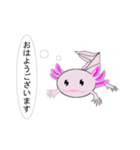 年中使えるウーパールーパーさん(敬語)（個別スタンプ：1）