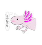 年中使えるウーパールーパーさん(敬語)（個別スタンプ：2）
