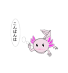 年中使えるウーパールーパーさん(敬語)（個別スタンプ：3）