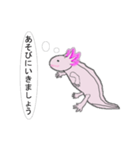年中使えるウーパールーパーさん(敬語)（個別スタンプ：7）
