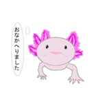 年中使えるウーパールーパーさん(敬語)（個別スタンプ：9）