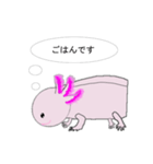 年中使えるウーパールーパーさん(敬語)（個別スタンプ：10）