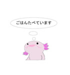 年中使えるウーパールーパーさん(敬語)（個別スタンプ：12）