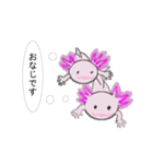 年中使えるウーパールーパーさん(敬語)（個別スタンプ：20）