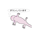 年中使えるウーパールーパーさん(敬語)（個別スタンプ：21）