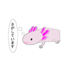年中使えるウーパールーパーさん(敬語)（個別スタンプ：23）