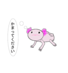 年中使えるウーパールーパーさん(敬語)（個別スタンプ：24）