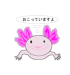 年中使えるウーパールーパーさん(敬語)（個別スタンプ：28）