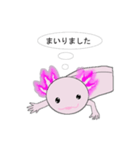 年中使えるウーパールーパーさん(敬語)（個別スタンプ：29）