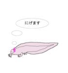 年中使えるウーパールーパーさん(敬語)（個別スタンプ：30）