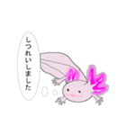 年中使えるウーパールーパーさん(敬語)（個別スタンプ：38）