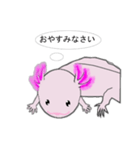 年中使えるウーパールーパーさん(敬語)（個別スタンプ：40）
