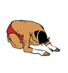 Thailand boxing ＆ Mr.Pokpong（個別スタンプ：24）