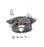 自由な猫達（個別スタンプ：2）