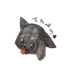 自由な猫達（個別スタンプ：3）