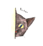 自由な猫達（個別スタンプ：4）