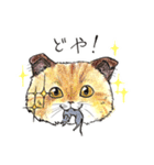 自由な猫達（個別スタンプ：5）