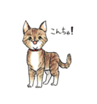 自由な猫達（個別スタンプ：7）